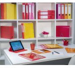 Boîte de classement Exacompta Iderama  dos 9 cm couleurs assorties fun