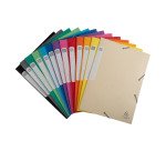 Chemise box Cartobox Exacompta 25 x 33 cm dos 2,5 cm - couleurs assorties