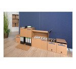 Caisse archives carton Elba Tric System avec couvercle - H 52 x L 31,7 x P 35 cm, marron