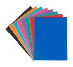 Protège-documents Viquel Essentiel recycle polypropylène opaque 60 pochettes -120 vues