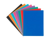 Documentenbeschermer Viquel Essentiel gerecycleerd polypropyleen ondoorzichtig 60 hoesjes - 120 zichten