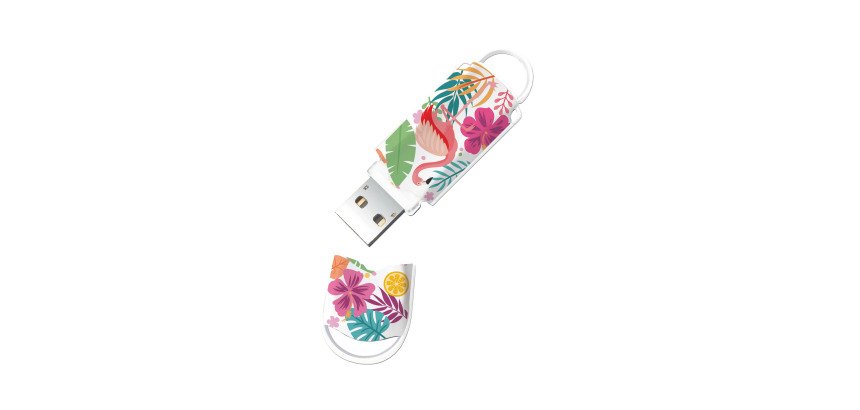 Integral clé USB Flamingo Xpression 32 Go Usb 2.0 (Usb-A) A motifs