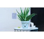 Marqueur peinture Edding 750 pointe ogive 2 à 4 mm