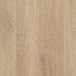 Bureau droit L 140 x P 80 cm piètement plein bois - Jazz