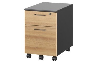 Mobiler Rollcontainer Quarta Plus Buche 2 Schubladen 