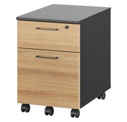 Mobile cabinet Quarta Plus beech 2 drawers 