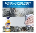 Nettoyant dégraissant puissant Mr Propre Professional - Spray 750 ml