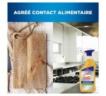 Nettoyant dégraissant puissant Mr Propre Professional - Spray 750 ml