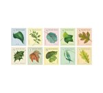 Notebook 50 non-priority national tree stamps 1 (Belgium). (This item is not taken into account in the calculation of any shipping costs and does not entitle to gifts)