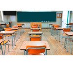 Pulitore rapido per inchiostro, pennarelli e timbri Argonit Pro-ink Interchem 750 ml