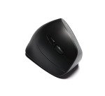 Souris sans fil Cherry MW 4500