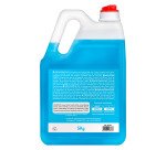 Sapone mani HACCP igienizzante Bruneau 5 Kg