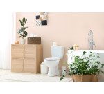 Tavolette per sanitari Wc Net Profumoso Anti batterico 4 unità da 34 g