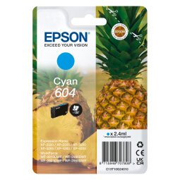Epson 604 cartridge kleur voor inkjet printer