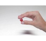 Aimant MAUL Solid 15mm 150g rouge 10 pièces
