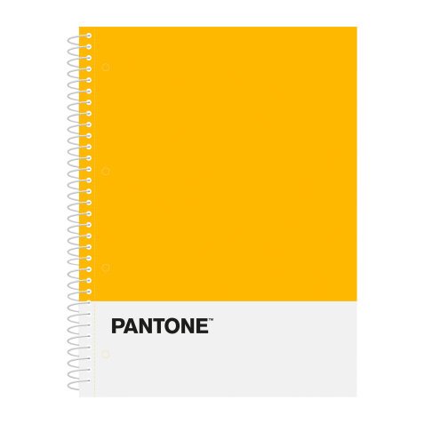 Cuaderno tapa dura A4 5x5 Pantone Basic Escolofi - 80 hojas