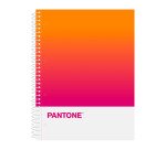 Cuaderno tapa dura A4 5x5 Pantone Creativity Escolofi - 80 hojas