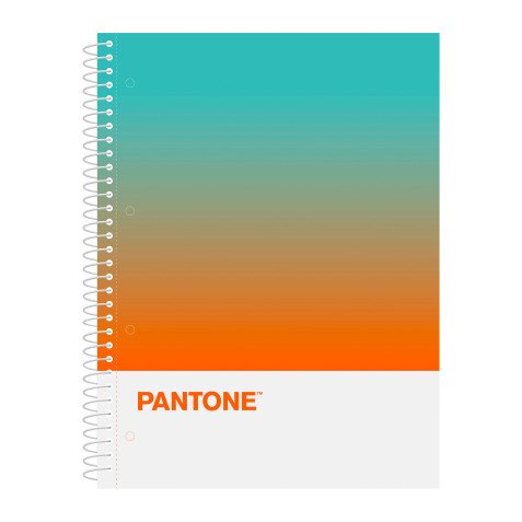 Cuaderno tapa dura A4 5x5 Pantone Courage Escolofi - 80 hojas