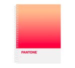 Cuaderno tapa dura A4 5x5 Pantone Respect Escolofi - 80 hojas