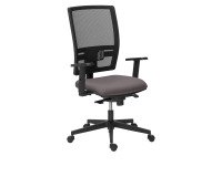 Pack bureaustoel Activ grijs + armsteunen 1D