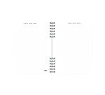 Agenda semana vista 160,5x218 mm Back to Basics Gris Miquelrius
