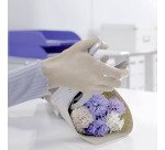 Agrafeuse pince Leitz 5549 - agrafes 24/6 et 26/8 - capacité de 40 feuilles