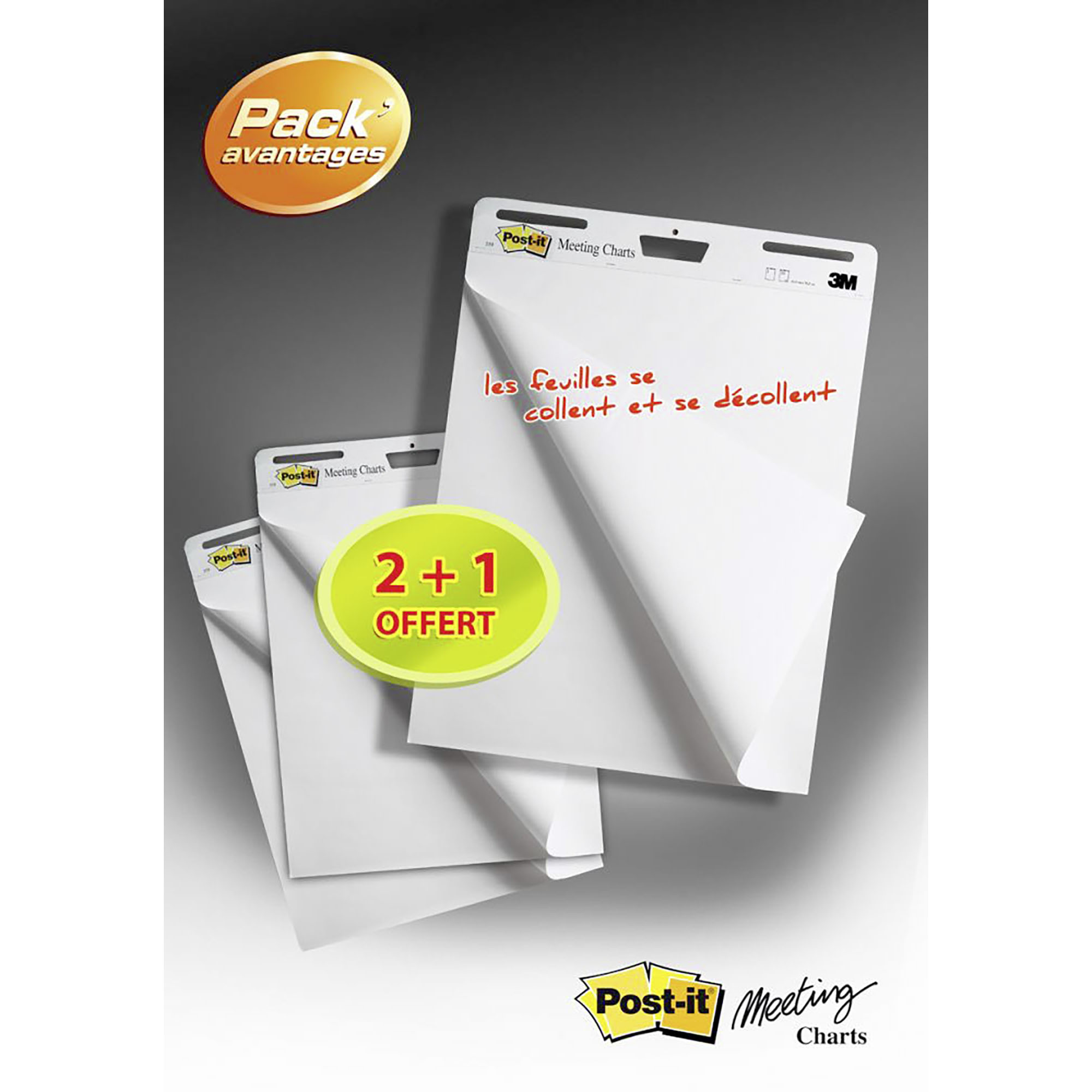 Pack de 2 paperboard+ 1 offert - chevalets mobile Meeting Chart Post-it à feuilles  adhésives 77,4 x 63 cm sur
