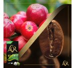 Capsulas de café L'Or Bio Organic - caja de 10