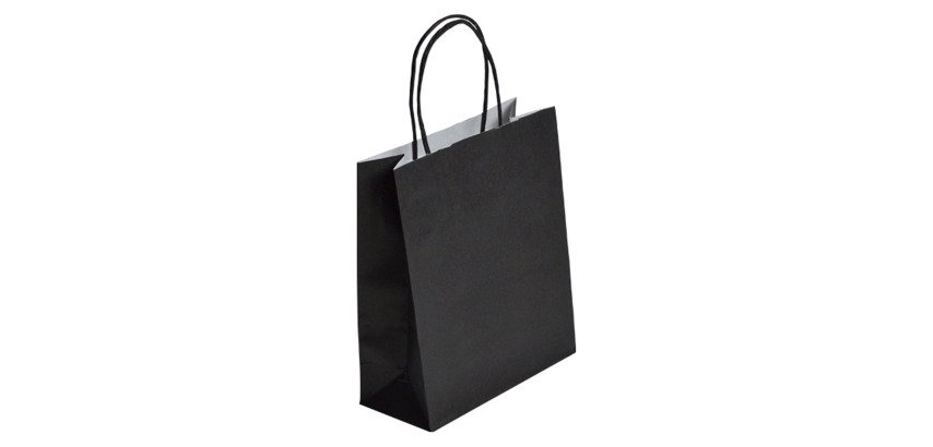 Sacs boutique kraft poignées torsadées 22 x 18 x 8 cm - 50 sacs