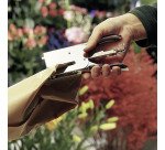 Agrafeuse pince Rapid K1 - agrafes 26/6 ou 26/8 - capacité de 20 à 40 feuilles