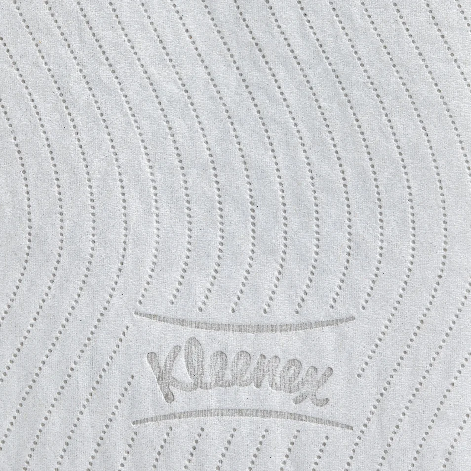Kleenex® 250 Rotolo di carta igienica standard, 2 veli, 250 fogli, 95 mm,  Bianco (confezione 12 rotoli) - Carta Igienica
