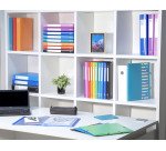 Protège-documents Opak Exacompta polypropylène A4 100 pochettes - 200 vues