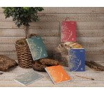 Cahier recyclé Forever Premium A4 petits carreaux 120 pages