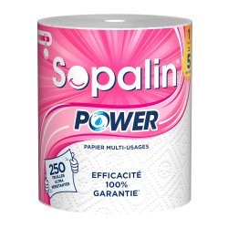 De_rl essuie tout sopalin power