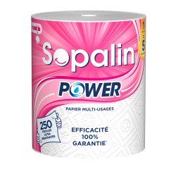 Haushaltspapier Sopalin Power