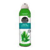 Destructeur d'odeurs Boldair Menthe & Aloe vera - Aérosol 250 ml