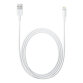 Câble USB Lightning vers USB Apple blanc 2 m