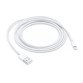 Câble Lightning vers USB (2 m) Apple blanc 2 m