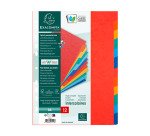 Separadores Exacompta de cartón A4 12 divisiones colores Exacompta