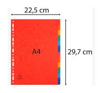 Separadores Exacompta de cartón A4 12 divisiones colores Exacompta