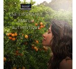 Destructeur d'odeurs Boldair Fleur d'oranger et bergamote - Aérosol 250 ml