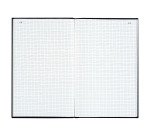 Registre Exacompta quadrillé 5 x 5 folioté 35 x 22,5 cm 200 pages - 7529D