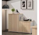 Armoire base Jazz H 71 cm 1 porte battante 2 portes pliantes