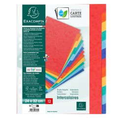 Divider  A4 glossy colored card Exacompta 12 neutral tabs