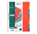 Intercalaire A4 carte lustrée colorée Exacompta 12 onglets neutres