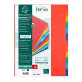 Intercalaire A4 carte lustrée colorée Exacompta 12 onglets neutres