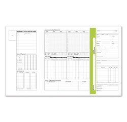 Cartelle matricolari dipendenti Data Ufficio Avorio rigato non perforato 32,5 x 25,5 cm carta 40 unità