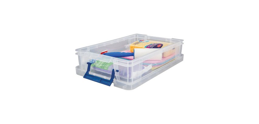 Scatola in plastica multiuso con maniglie 5,5 litri Prostore™