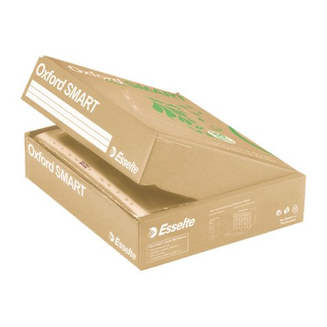 Buste a perforazione Universale Oxford Smart 100% riciclate Esselte Deluxe 22 x 30 cm trasparente polipropilene finitura goffrata a buccia d'arancia spessore alto 300 unità