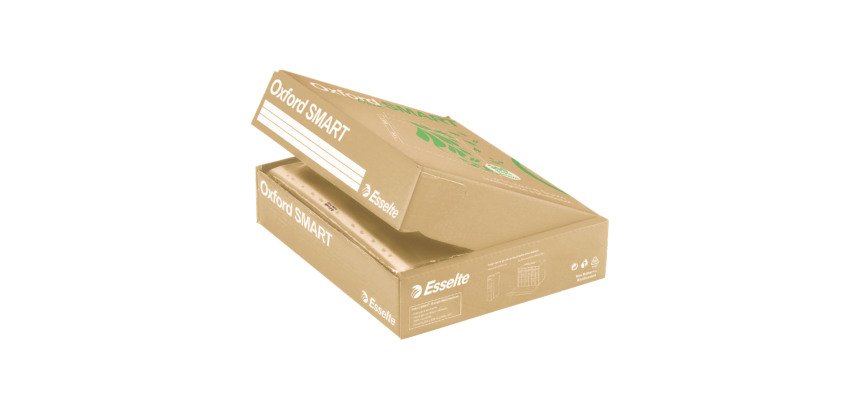 Buste a perforazione Universale Oxford Smart 100% riciclate Esselte Deluxe 22 x 30 cm trasparente polipropilene finitura goffrata a buccia d'arancia spessore alto 300 unità